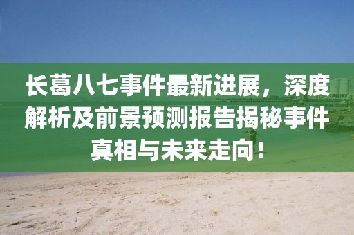 长葛八七事件最新进展，深度解析及前景预测报告揭秘事件真相与未来走向！