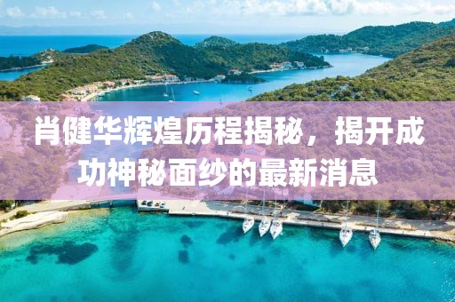 肖健华辉煌历程揭秘，揭开成功神秘面纱的最新消息