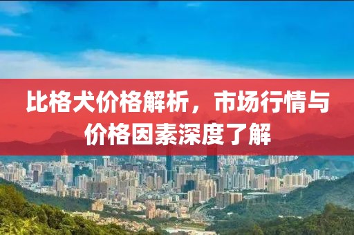 比格犬价格解析，市场行情与价格因素深度了解