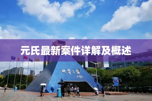 元氏最新案件详解及概述