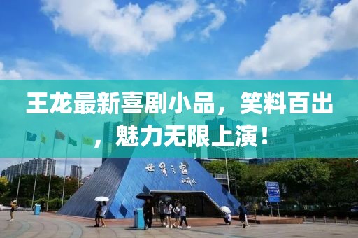 王龙最新喜剧小品，笑料百出，魅力无限上演！