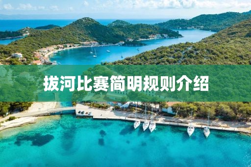 浪货界扛把子 第4页
