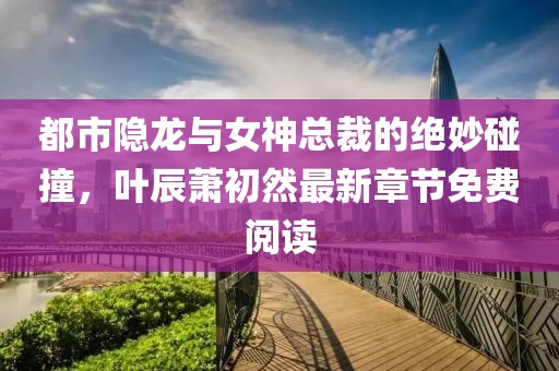 都市隐龙与女神总裁的绝妙碰撞，叶辰萧初然最新章节免费阅读