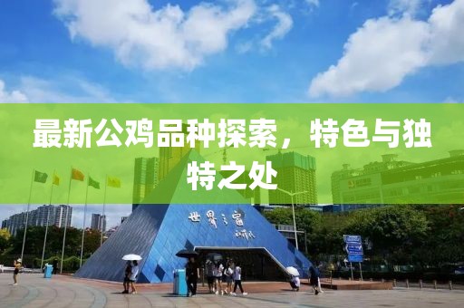 最新公鸡品种探索，特色与独特之处