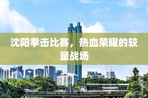 沈阳拳击比赛，热血荣耀的较量战场