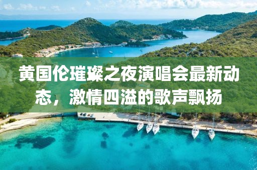 黄国伦璀璨之夜演唱会最新动态，激情四溢的歌声飘扬