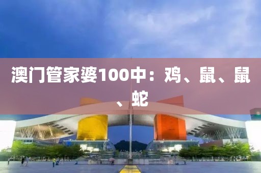 澳门管家婆100中：鸡、鼠、鼠、蛇