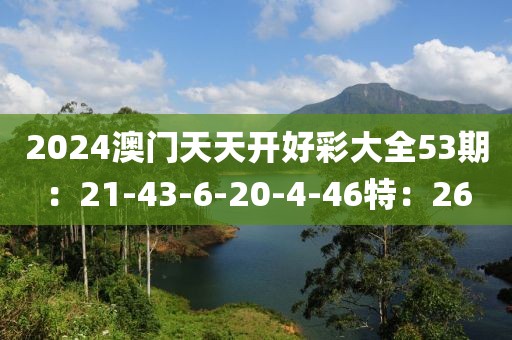 2024澳门天天开好彩大全53期：21-43-6-20-4-46特：26