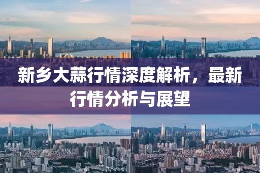 新乡大蒜行情深度解析，最新行情分析与展望