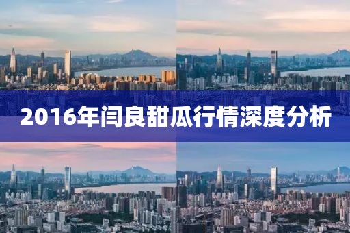 2016年闫良甜瓜行情深度分析