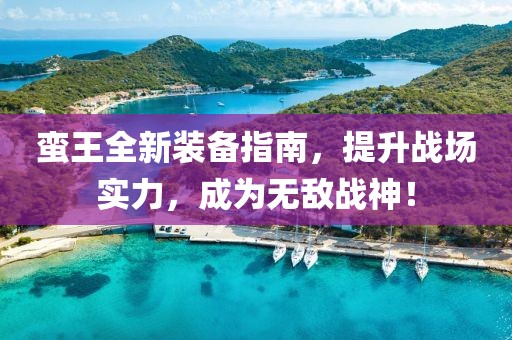 蛮王全新装备指南，提升战场实力，成为无敌战神！