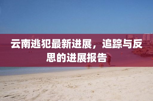 云南逃犯最新进展，追踪与反思的进展报告