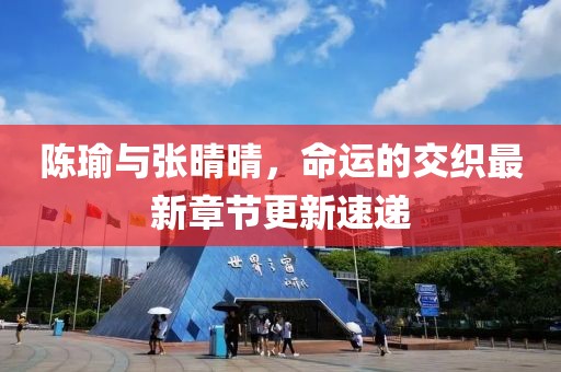 陈瑜与张晴晴，命运的交织最新章节更新速递