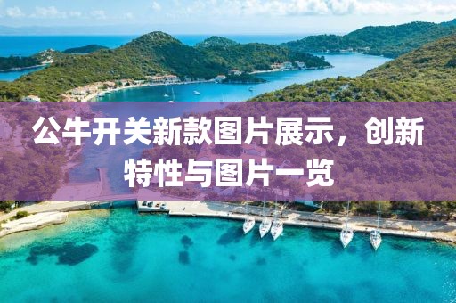 公牛开关新款图片展示，创新特性与图片一览