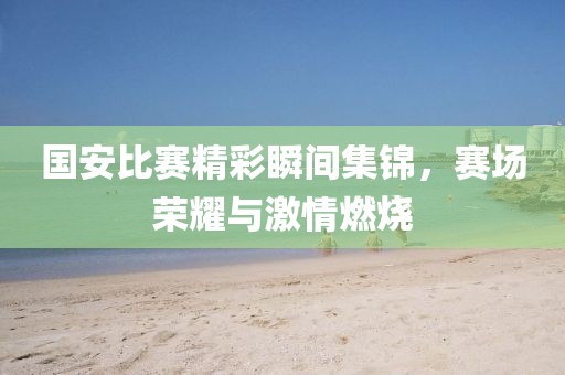 国安比赛精彩瞬间集锦，赛场荣耀与激情燃烧