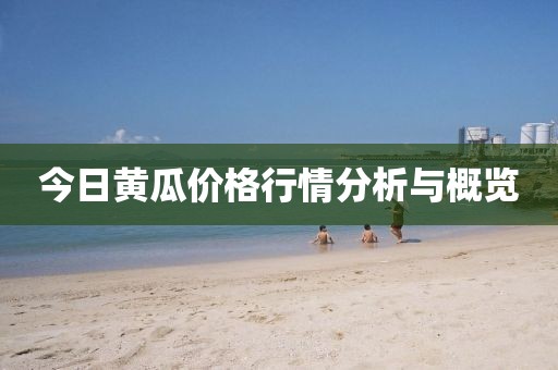 今日黄瓜价格行情分析与概览