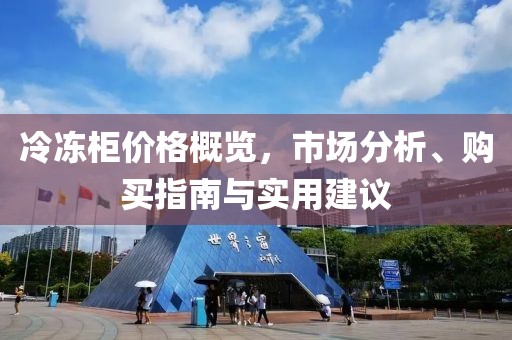 冷冻柜价格概览，市场分析、购买指南与实用建议