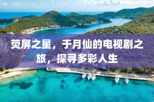 荧屏之星，于月仙的电视剧之旅，探寻多彩人生