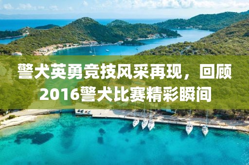 警犬英勇竞技风采再现，回顾2016警犬比赛精彩瞬间