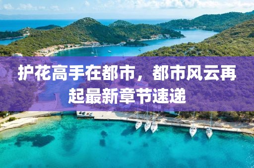 护花高手在都市，都市风云再起最新章节速递