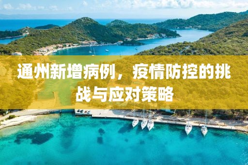 通州新增病例，疫情防控的挑战与应对策略