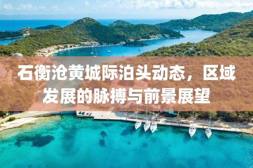 石衡沧黄城际泊头动态，区域发展的脉搏与前景展望