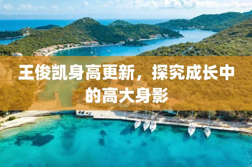 喋血枭雄 第3页