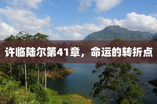许临陆尔第41章，命运的转折点
