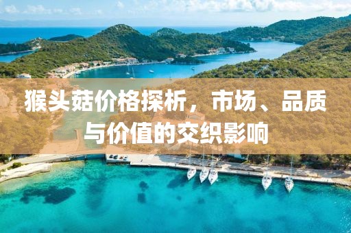 猴头菇价格探析，市场、品质与价值的交织影响