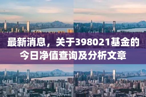 最新消息，关于398021基金的今日净值查询及分析文章