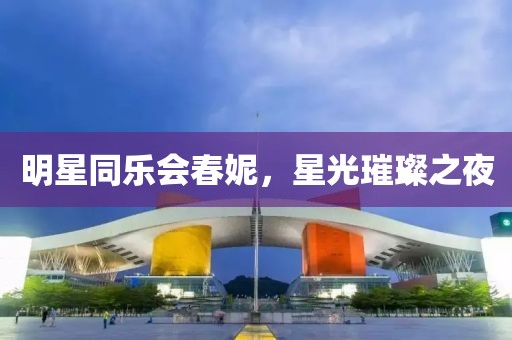 明星同乐会春妮，星光璀璨之夜