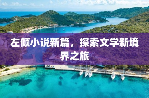 左倾小说新篇，探索文学新境界之旅