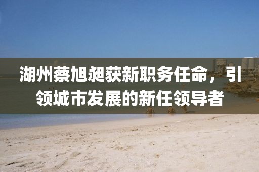湖州蔡旭昶获新职务任命，引领城市发展的新任领导者