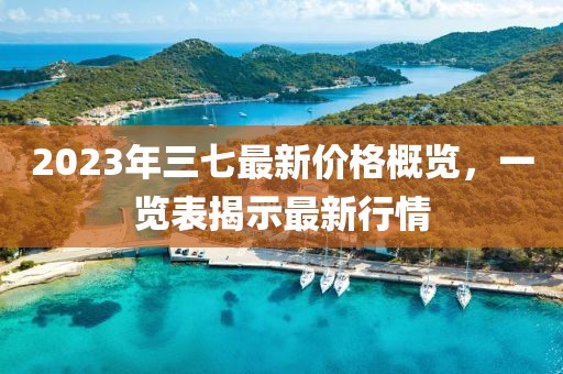 2023年三七最新价格概览，一览表揭示最新行情