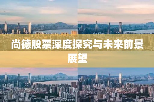 尚德股票深度探究与未来前景展望