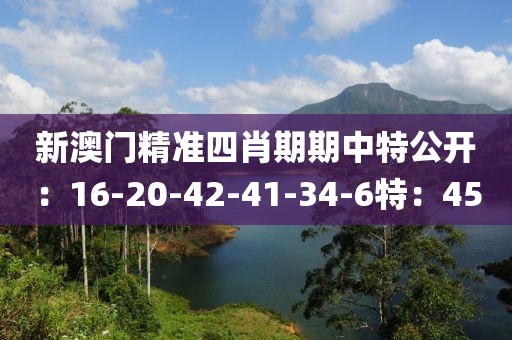 新澳门精准四肖期期中特公开：16-20-42-41-34-6特：45