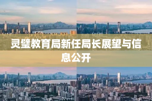 灵璧教育局新任局长展望与信息公开