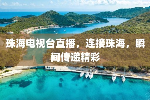 新闻动态 第47页