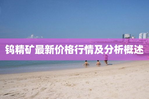 钨精矿最新价格行情及分析概述