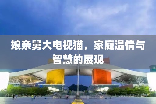 娘亲舅大电视猫，家庭温情与智慧的展现