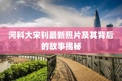 河科大宋钊最新照片及其背后的故事揭秘
