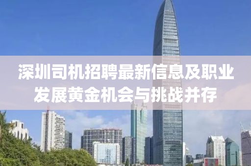 关于龙翔 第44页