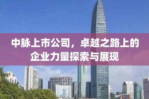 中脉上市公司，卓越之路上的企业力量探索与展现