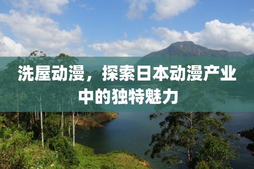 洗屋动漫，探索日本动漫产业中的独特魅力