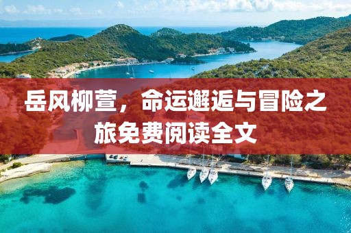 岳风柳萱，命运邂逅与冒险之旅免费阅读全文