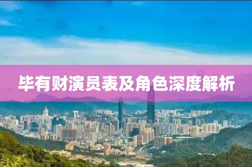 毕有财演员表及角色深度解析