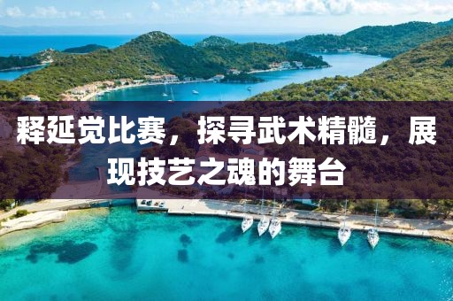 释延觉比赛，探寻武术精髓，展现技艺之魂的舞台