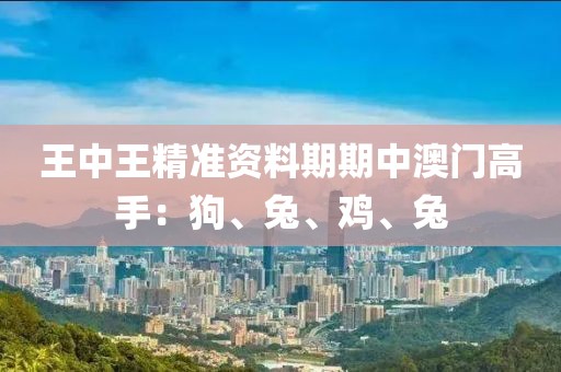 王中王精准资料期期中澳门高手：狗、兔、鸡、兔