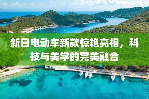 新日电动车新款惊艳亮相，科技与美学的完美融合