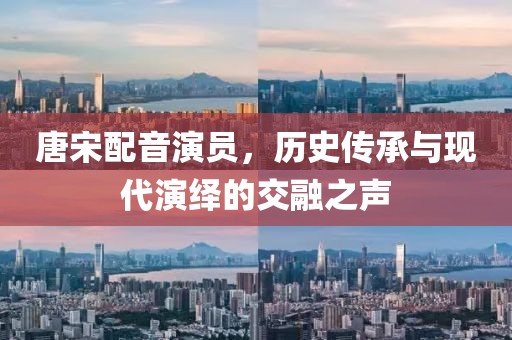 唐宋配音演员，历史传承与现代演绎的交融之声